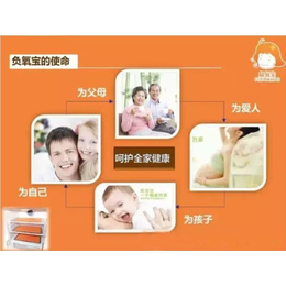 负氧离子枕头品牌|绿晨轶阳(在线咨询)|本溪负氧离子枕头