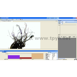      应用来给根系分析仪研究作物根系吸收养分效果