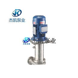 耐酸碱立式泵制造、杰凯泵业(在线咨询)、耐酸碱立式泵