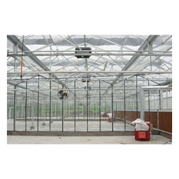 玻璃温室建设,青州中泰温室,潍坊玻璃温室