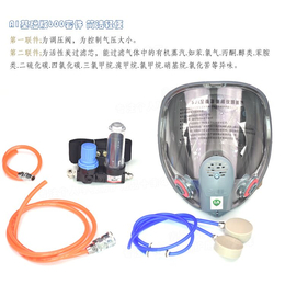 供应鑫励鼎德DDE600供气式*罩 防尘面具 供气式呼吸器