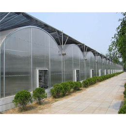 安徽温室大棚|合肥新一佳|连栋温室大棚施工