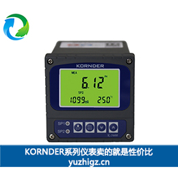 广东PH控制仪 KORNDER K-5600型 PH计缩略图