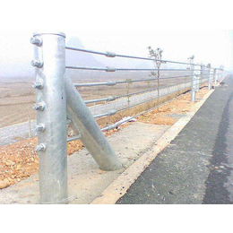 喷塑缆索护栏,威友丝网(在线咨询),喷塑缆索护栏用途