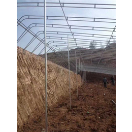 腾达农业(图),土坑温室建设,郑州土坑温室