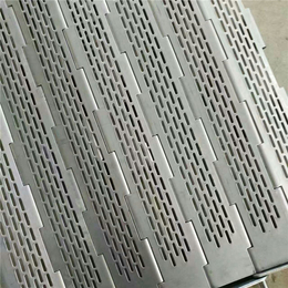 天惠网带(图)|不锈钢链板传送机|长沙不锈钢链板