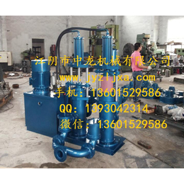 上海陶瓷柱塞泵|江阴市中龙机械公司