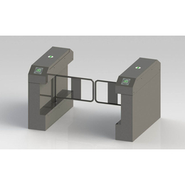 智能摆闸哪家****_连云港摆闸_南京致胜