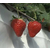 唐山草莓观光采摘-立体草莓种植槽-河北华耀缩略图1