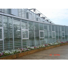 青州瀚洋农业-玻璃温室-玻璃温室骨架