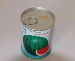 江西种子罐-种子罐生产厂家-安徽华宝(推荐商家)
