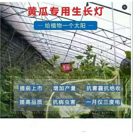 激光植物生长灯厂家*+性价比****果有保证+增收增产