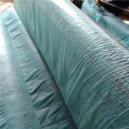加筋防冲毯护坡绿化,抗冲生态毯,甘肃抗冲生态毯(查看)