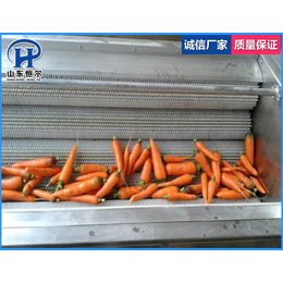蔬菜清洗机厂家、山东恒尔、天津蔬菜清洗机