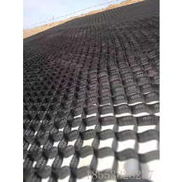 土工格室 黑龙江生产HDPE高强土工格室 