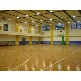 睿聪体育(图),体育木地板工程造价,惠州体育木地板