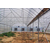 鑫华生态农业(在线咨询),成都温室,生态温室餐厅缩略图1