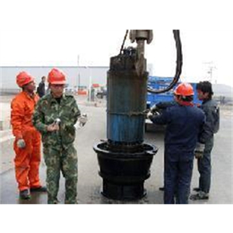 潜水泵维修|天津世纪忠浩|潜水泵维修价格