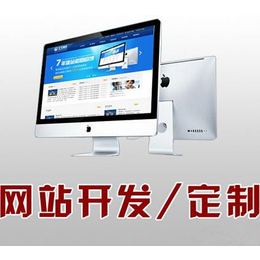 东联网络科技(图)、企业网络推广公司、荔湾网络推广公司