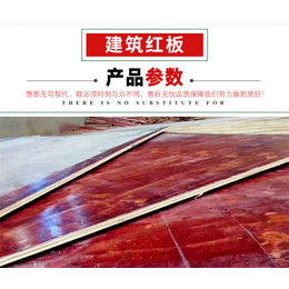 建筑红模板厂,优逸木业(在线咨询),潍坊建筑红模板