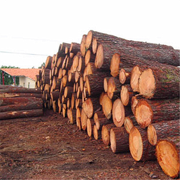 榆林建筑木材、恒豪木业(在线咨询)、建筑木材木方