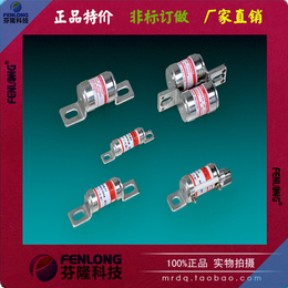 广州芬隆熔断器生产厂家-订做各种熔断器