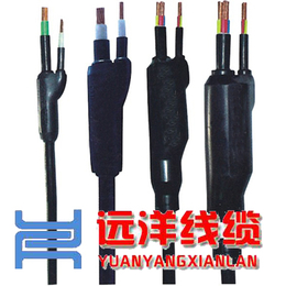 云南预分支电缆厂(图),单芯预分支电缆,迪庆预分支电缆