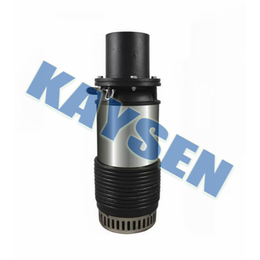 进口立式轴流泵特点-德国KAYSEN品牌