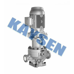 进口热水循环泵特点-德国KAYSEN品牌