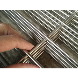 镀锌电焊网_润标丝网(在线咨询)_镀锌电焊网规格