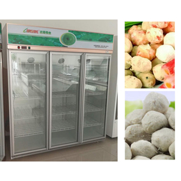 速冻食品柜单价|速冻食品柜|达硕冷冻设备生产(查看)