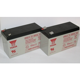 品牌UPS蓄电池价格 免维护蓄电池生产厂家* 汤浅蓄电池