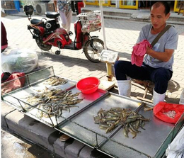 鑫渔圣生态(图)-基围虾养殖水处理设备-基围虾