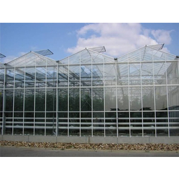青州瀚洋农业(图)-文洛式玻璃温室-玻璃温室