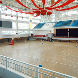 立美体育,阜阳体育木地板,篮球馆体育木地板