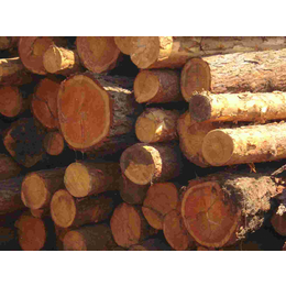 上海进口红木木材清关代理公司缩略图