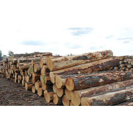 进口红木木材清关商检过程