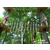 历奇探险-树上探险乐园-冒险树森林穿越缩略图2