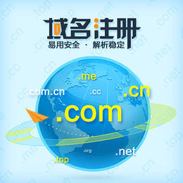 中小型企业网站优化,雷州网站优化,广州东联网络科技