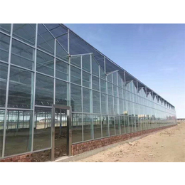 贵贵温室-智能温室大棚系统设计-吐鲁番地区智能温室大棚设计