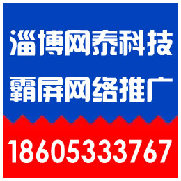 博兴网站优化_淄博百度网站优化软件_淄博网泰科技(****商家)