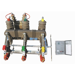 高压真空断路器多少钱|民扬电气|高压真空断路器