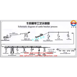 宰牛设备、特恩特、宰牛设备厂家