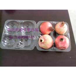 临沂定制水果餐盒-恒硕吸塑包装-水果餐盒