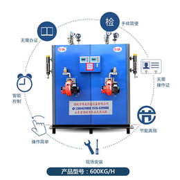 新疆学校浴室用蒸汽发生器-台锅锅炉-学校浴室用蒸汽发生器*