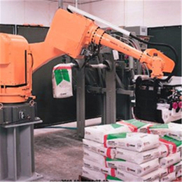自动化搬运工业机器人六轴  机械手 自动化机器人 