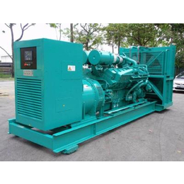 特能机电(图)|柴油发电机销售|潮州柴油发电机