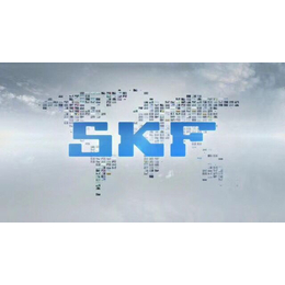SKF轴承代理商目录|北京SKF轴承代理商|质保2年