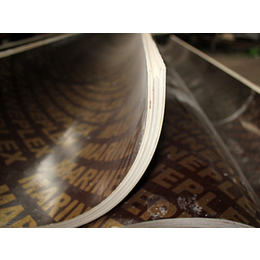 西藏圆模板、智晨木业、圆模板规格