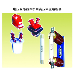 上海高压熔断器厂家,高鼎电器,熔断器